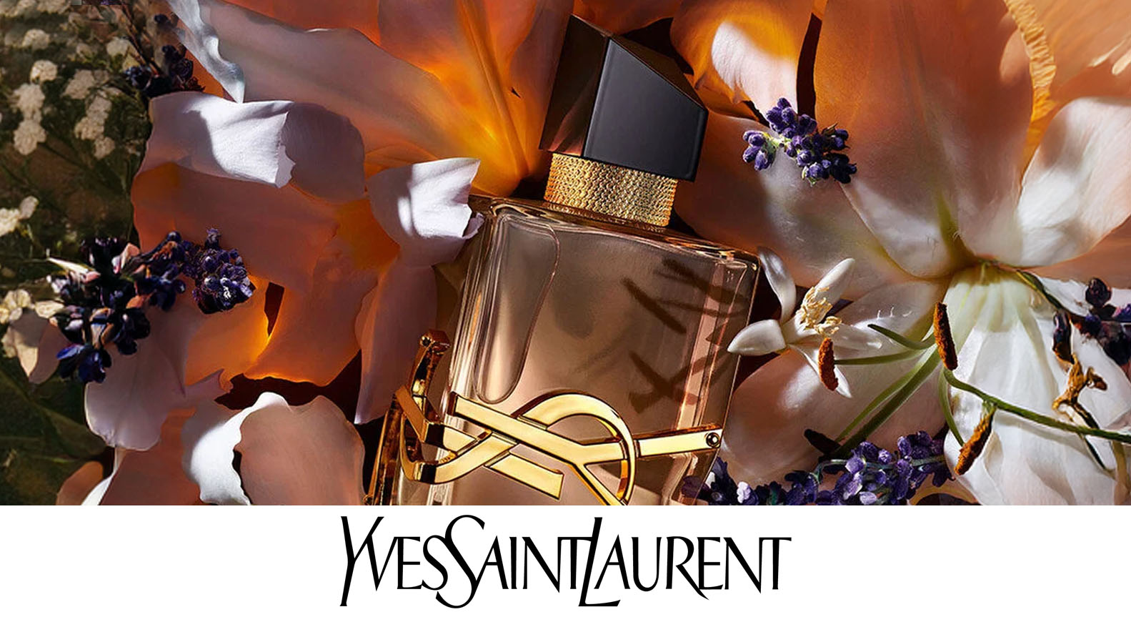 YSL