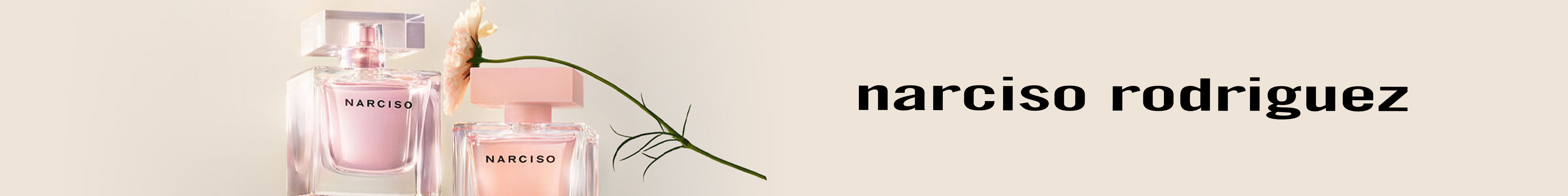 Desktop H1-Narsiso